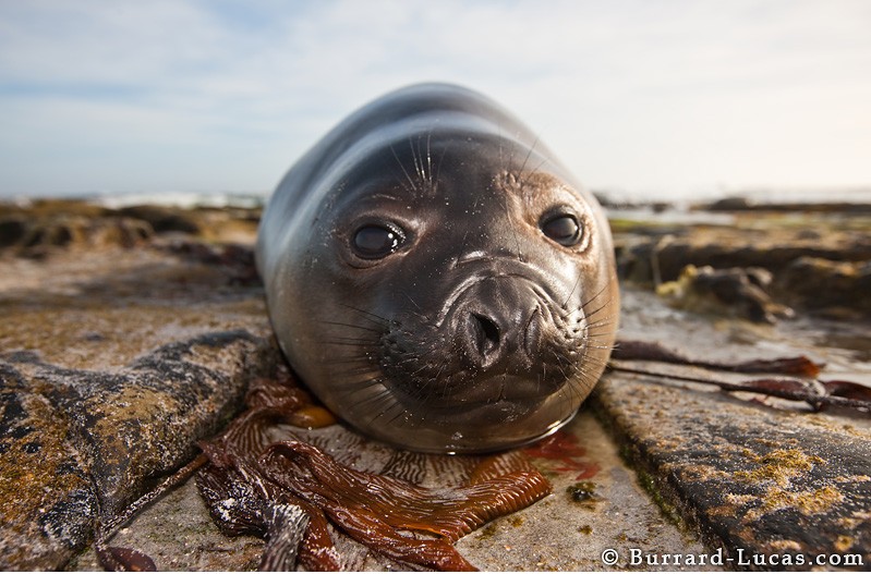 ��֪����ô��Ұ��������д�漯�𣿣�ͼ��