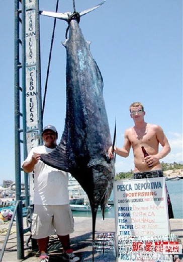 �����𾪵ľ������� �����������Ȥͼ��