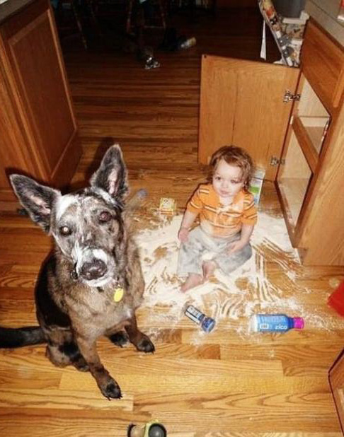 ǧ��Ҫ��ţ������high�ˣ���ЦͼƬЦ����