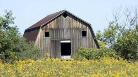 �����˲�����������ʿ ��ЦȤͼ