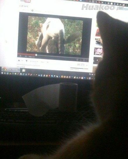 һ��С�ľ�����Ц��ć�ͼ ��Ц��ͼ