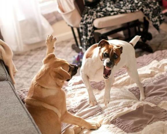 ��һ�۾�Ц�������ͼ ��ЦͼƬ