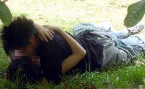 ��԰��ķ������ ͵�Ĺ�԰Ұս��ͼ��