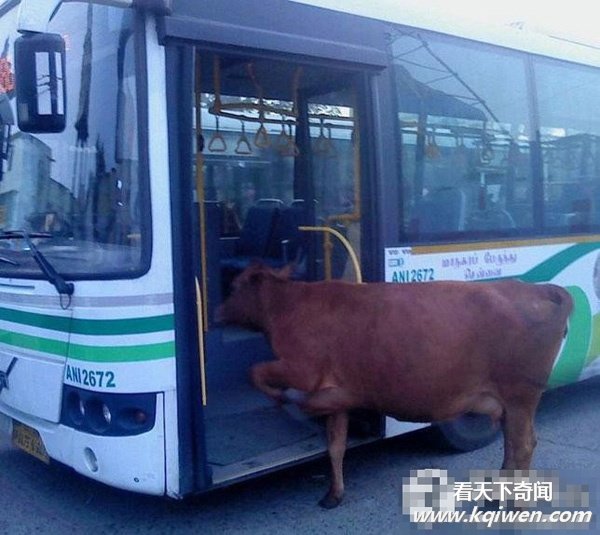 �̲�סЦ���Ŀ�ͼ