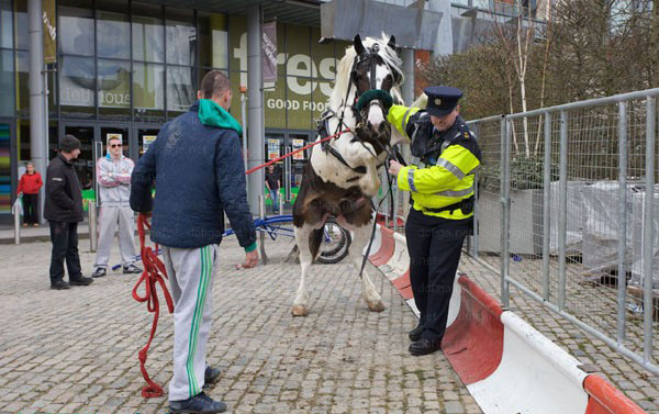 ���ÿ���ͻȻ���𾹵���¶��ǹǿ�����ﾯ(ʵ��������ͼ)