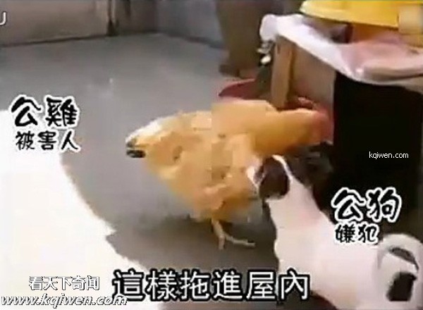 ��ɫС�������컯�����Ｆ(��ͼ)